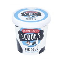 Delicious Dog Ice Cream
